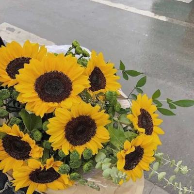 江南体育app下载手机app下载截图